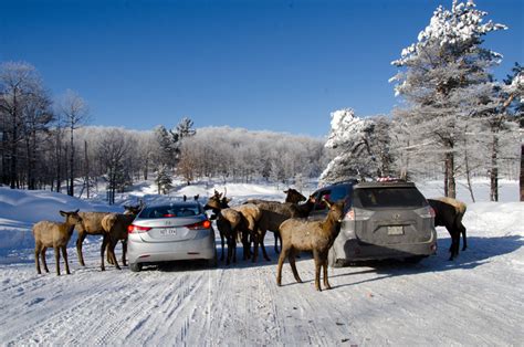 omega park canada|omega park tickets prices.